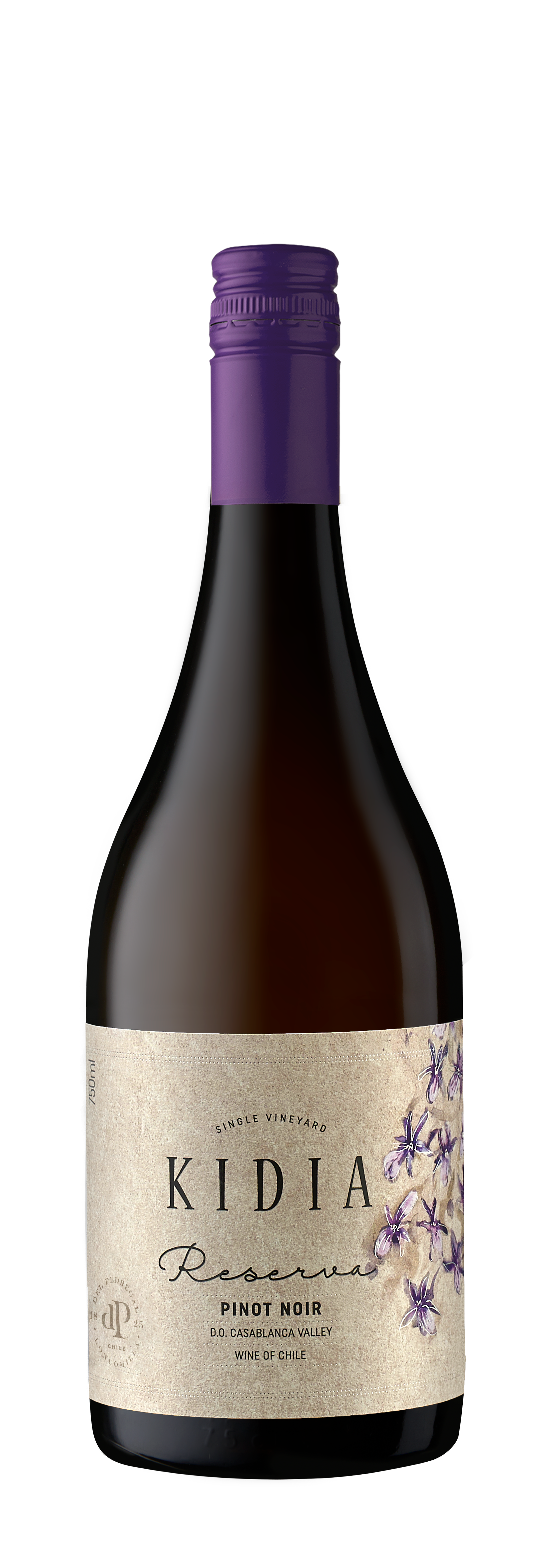 botella